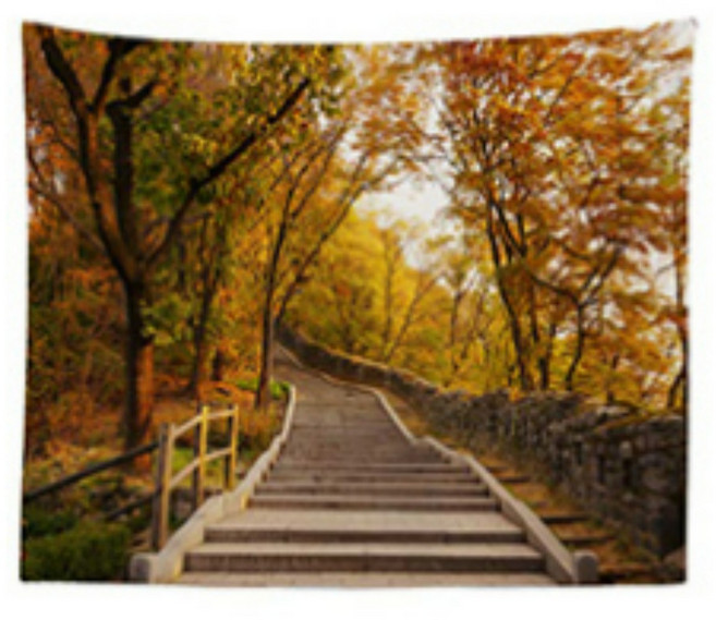 테피스트리 가림막천 GW몰 패브릭 포스터 대형, 숲속E