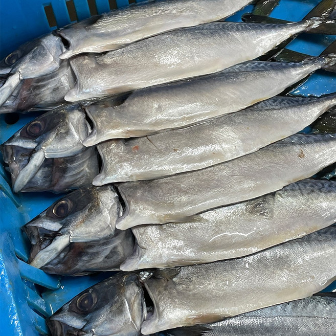 고래푸드 국내산 자반고등어, 3.2kg(10미/특대), 1세트