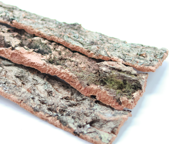 코르크바 60cm 테라리움 파충류 양서류 유목 2개입, 단품