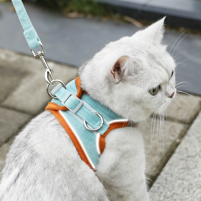 디아쿠아 고양이 강아지 야광 빛반사 벨크로 하네스 리드줄 세트, 민트오렌지, 1개