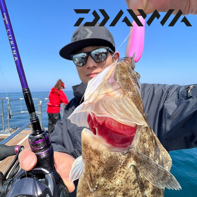 다이와 루키나 BJ EX 65B-4 광어다운샷 히라메 외수질 광따 붉바리, B65-4, 혼합색상