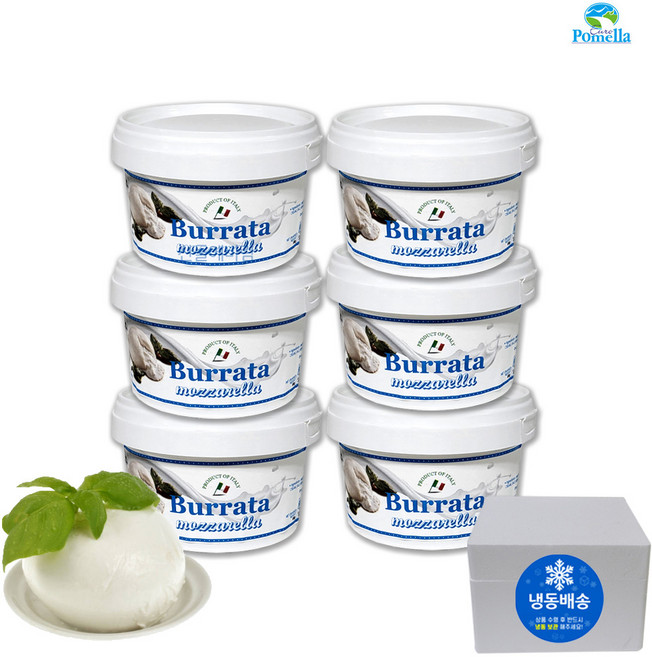 코스트코 부라타치즈 모짜렐라지츠 브라타 100g X 6통 냉동치즈, 6개