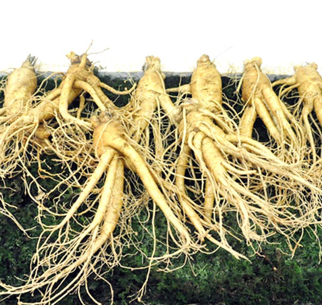 못난이인삼 6년근 파삼 막삼 난발삼 세척 1kg, 1개