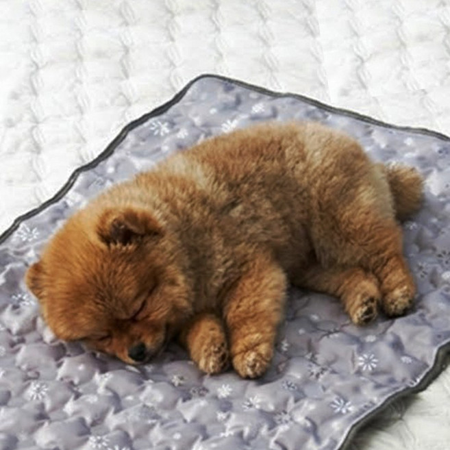 꼼띠아 국산 강아지 쿨매트 쿨젤 여름 냉감 매트 패드 고양이 애완 동물, 1개, 그레이