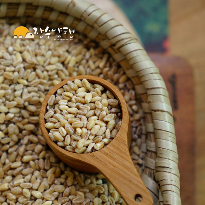 장수양행 우리밀2kg 국산 통밀 백강밀 2025년, 1개, 2kg