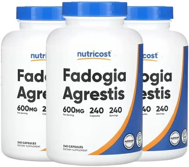 뉴트리코스트 파도기아 아그레티스 600mg 240캡슐, 3개, 240정 - 쿠팡