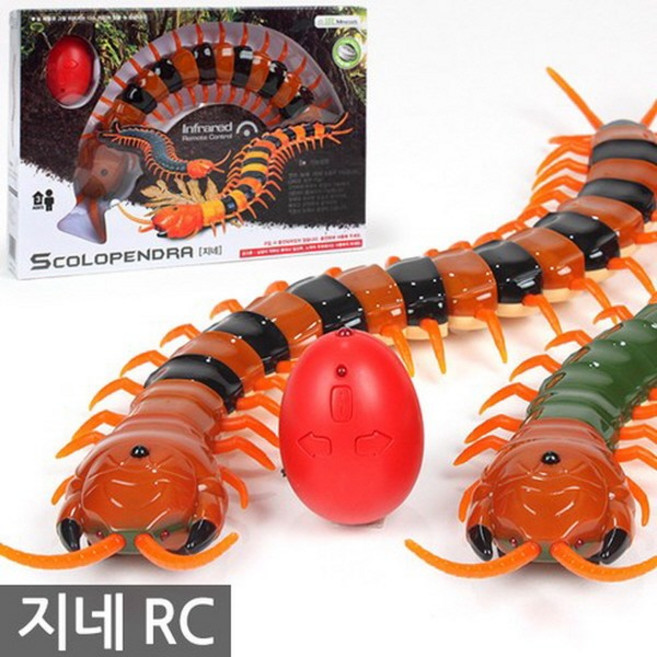정병우토이 지네 rc, 1개