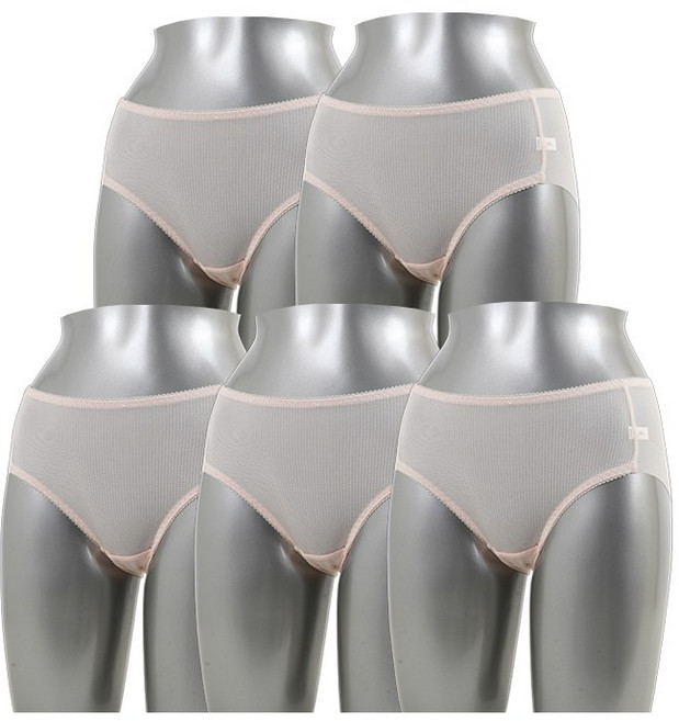 캐리루시 빅사이즈 인견 노라인 누디 햄팬티 5P