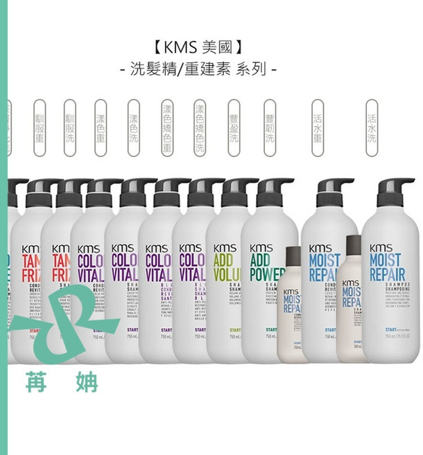KMS 洗髮精 活水/馴服/漾色/深層淨化/豐盈/豐韌/重建素/護髮, 1個, 活水洗髮精300ml