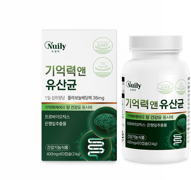 기억력 앤 유산균 400mg x 60캡슐 은행잎추출물 프로바이오틱스 혼합유산균12종 프락토올리고당 야채혼합분말 효모추출물 비타민C B1 B2 B12 D3 엽산 비오틴, 1개