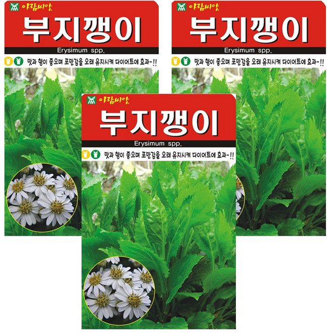 부지깽이 씨앗, 3개