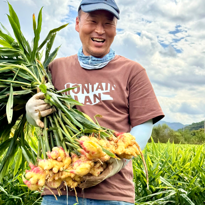 생강 햇생강 영주 흙생강 특품 25년 국산 1kg, 1개, 흙생강(특상) 10kg