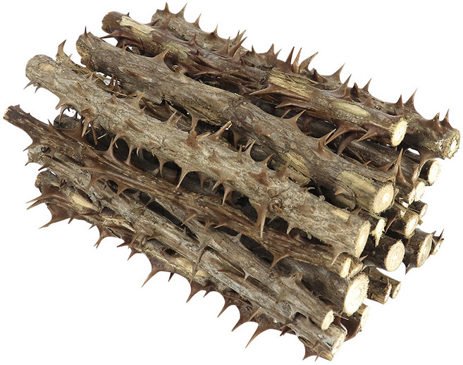 두손애약초 엄나무, 1개, 450g