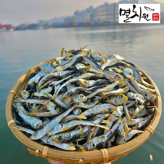 멸치원 남해안 통영 국물용 솔치 실속/알뜰 다시용, 1.5kg, 1개