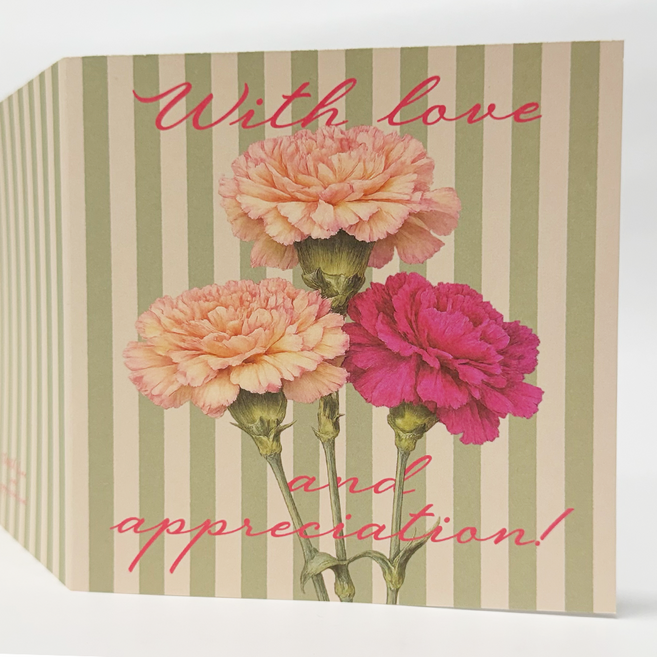 스승의날 어버이날 카네이션 가정의달 감사 엽서 카드, 30개, 핑크 세송이