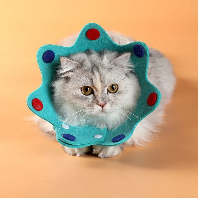 엘리자베스 링 고양이 칼라 부드러운 반지 애완 동물 용품 애완 동물 살균 고양이 스카프 애완 동물 이가 제거 고양이 칼라, L-큰 (참조 무게 11-16kg), 두꺼운 웨이브 도트 (블루), 1개