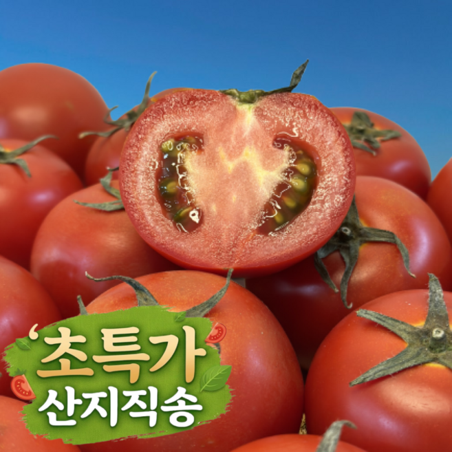 [한정판매] 새콤상큼 희온궁 산지직송 완숙토마토, 1박스, 중과 5kg(특품)