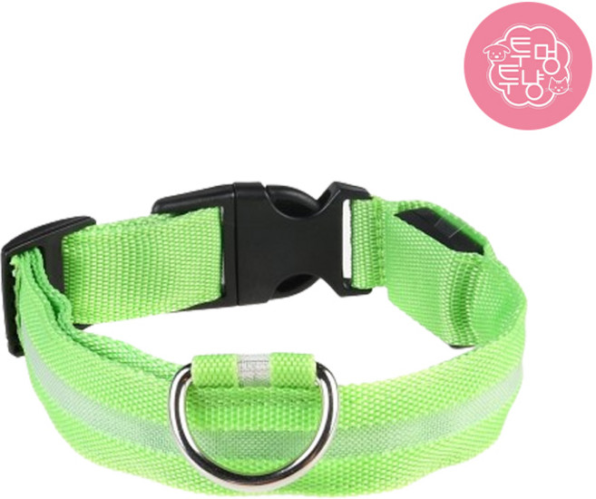 투냥투멍 강아지 산책 LED 라이트 목줄 리드줄 목걸이, 그린, 2개