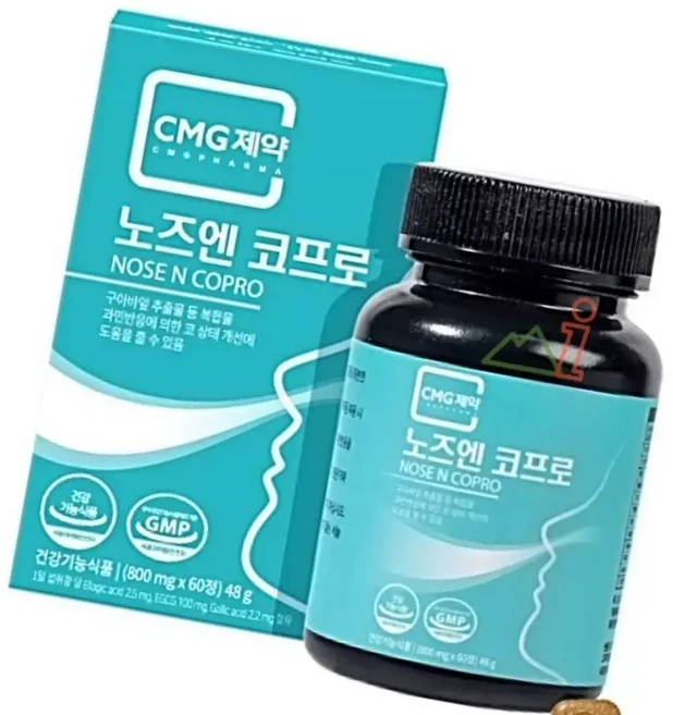 돈스텔 노즈엔 코프로 800MGX60정 녹차추출물 기능성원료 비타민C, 1개, 60정 - 쿠팡