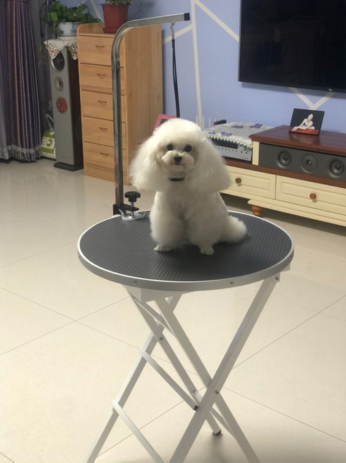 강아지 미용 그루밍 테이블 받침대 전동 접이식 대형견 원형 목욕 거치대 사각 높이조절, 1개, ds-202 사각 접이식 테이블 퍼플