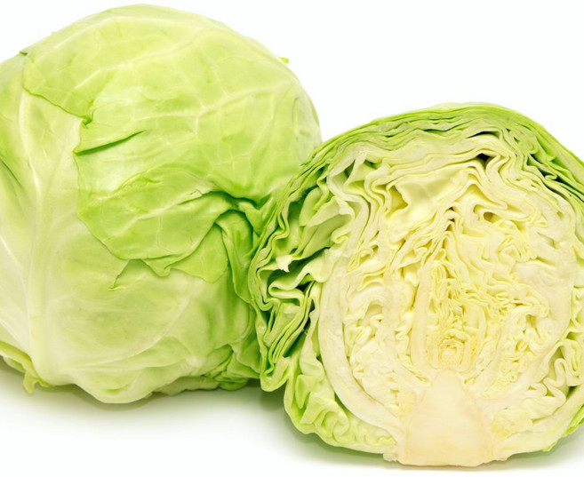 세모농 싱싱한 국내산 양배추, 1개, 1.7kg