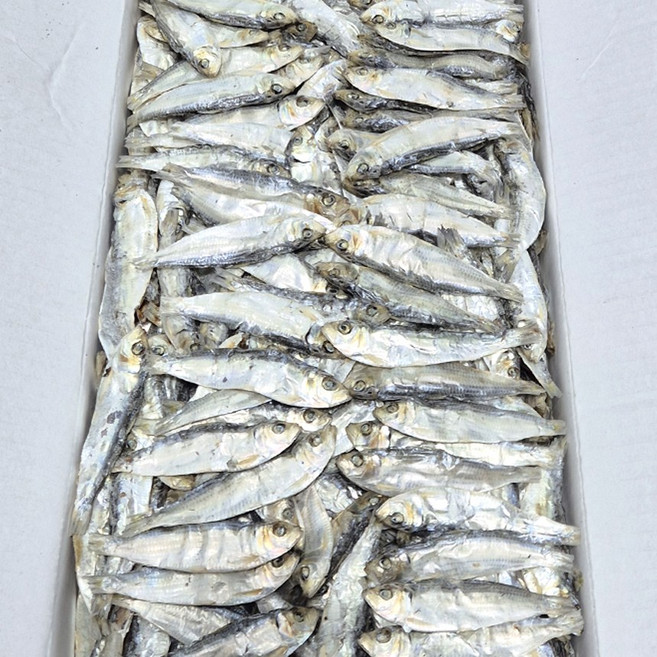 품질좋은 디포리 1.5kg 밴댕이 진한국물 육수용, 1박스