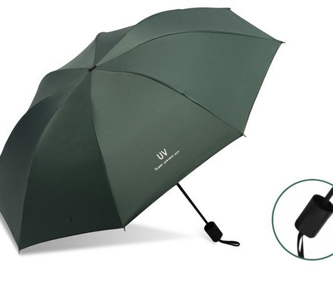 심플 디자인 컬러라인 데일리 접이식 다용도 3단 자동 우산 시리즈