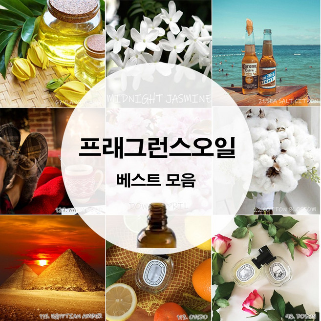 프래그런스 오일 디퓨저 캔들 향오일 모음 20ml, 자연향_씨솔트유자, 1개