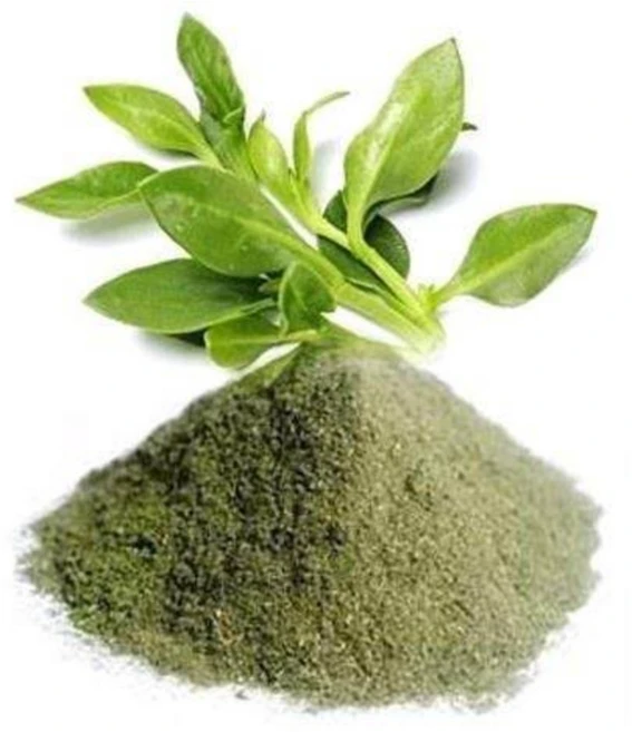 인도 DOT Organics Nilavembu 천심련 분말 100g, 1개 - 쿠팡