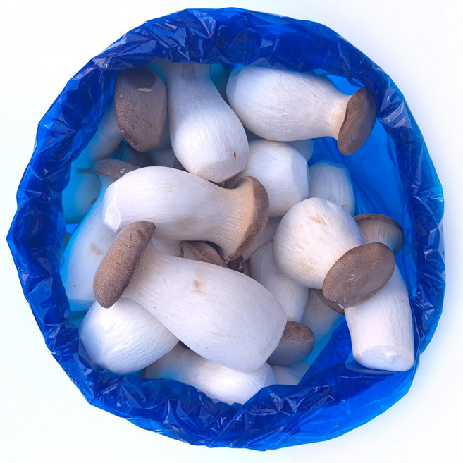 클릭마켓 국내산 새송이 못난이 새송이버섯 4kg, 1개