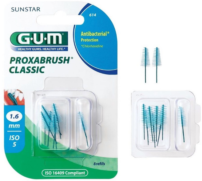 선스타검 605 치간칫솔 리필 8개입 614, 1개, 1개입