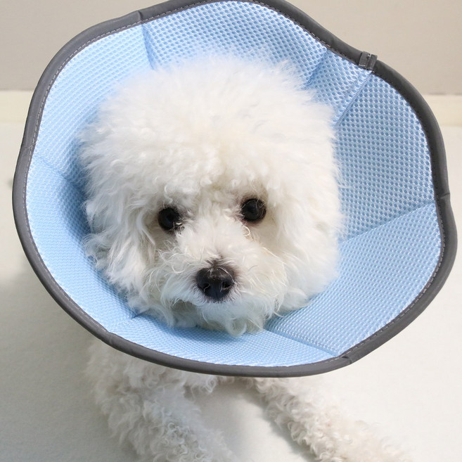 드림계곡 반려동물 강아지 고양이 통기성 메쉬 넥카라, 1개, 파란색