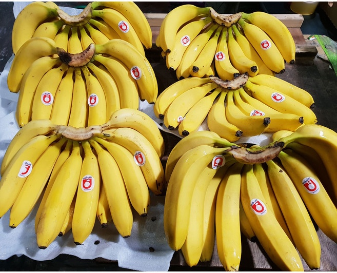 더노랑 필리핀 바나나 델몬트 유니 4.2kg 6kg 13kg, 필리핀DelMONT 5수또는6수, 1박스, 13kg내외