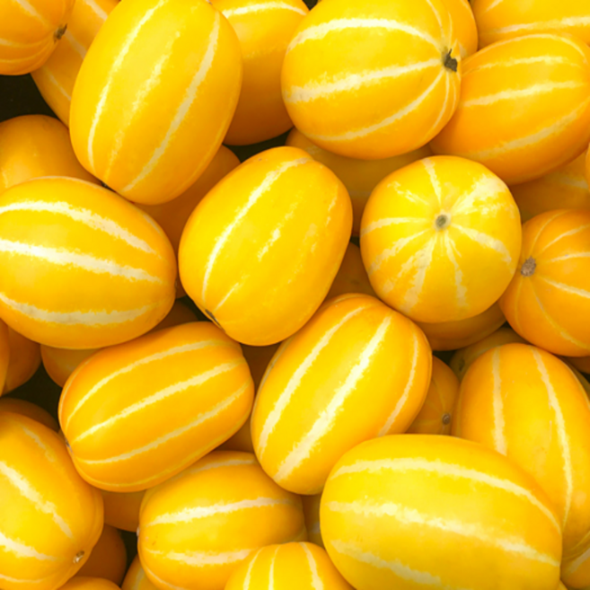 한정특가 고당도 성주 햇꿀참외 소과, 1개, 3kg