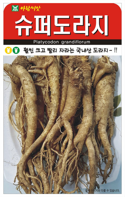 아람종묘 슈퍼 도라지 씨앗 1000p, 1개