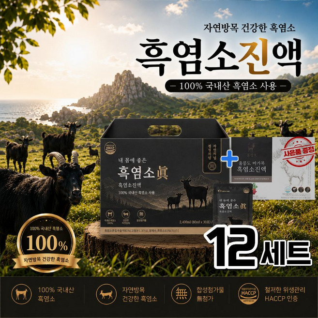 옥가네 100% 국산 흑염소 진액 / 12세트구매시 홍성호 울릉도 마가목 흑염소진액 사은품, 12세트, 80g