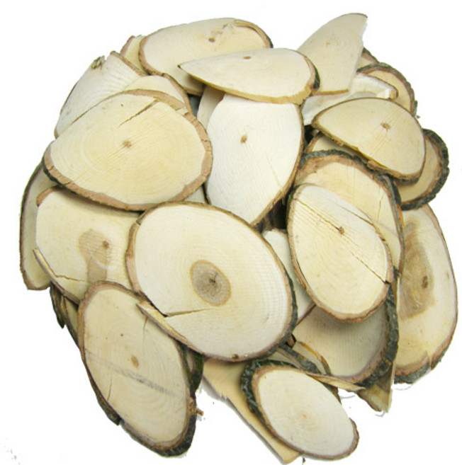 국산 벌나무(산청목), 1개, 300g