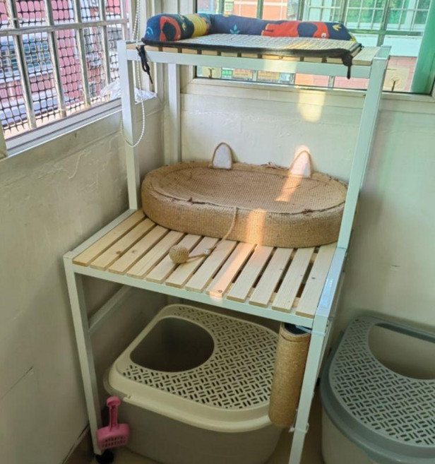 캣타워 원목 선반형 책장 고양이 가구, 1개, 백강철 프레임 원목 70 50 100