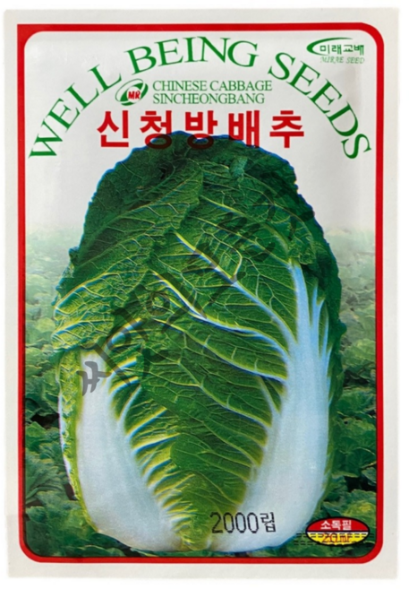 청방배추 씨앗 2000립 가을김장 저장성우수 미래종묘, 1개