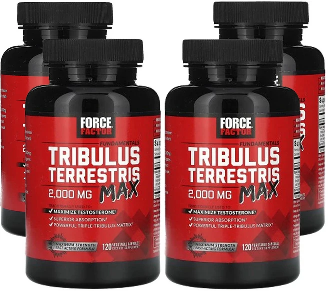 포스팩터 펀더멘탈 트리블러스 테러스트리스 맥스 2 000mg 베지 캡슐 120 정(캡슐 1정당 500mg), 4팩, 120캡슐, 120정 - 쿠팡