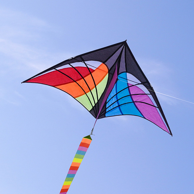 888玩具 888便利購 經典大三角彩色蜘蛛風箏(10米彩虹長尾) 造型風箏 動物風箏 可愛風箏 兒童風箏, 1個, 全配組(附輪盤集線器+150米線)