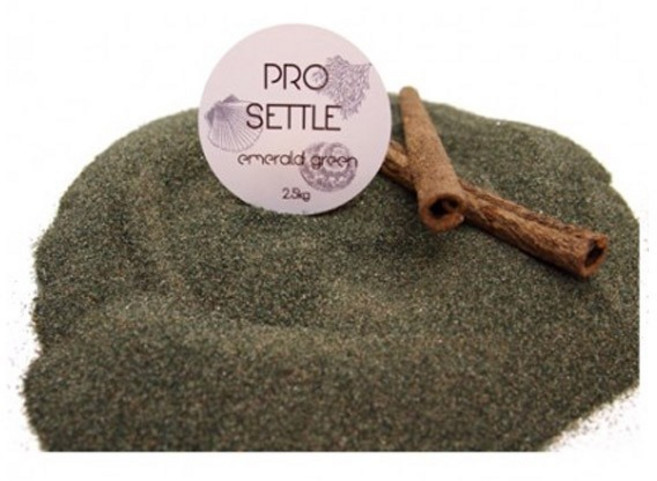 프로 세틀 바닥재 [에메랄드 그린] 1kg, 1개, 에메랄드 그린