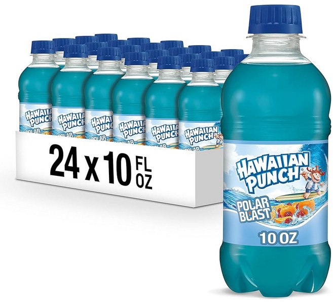 하와이안 펀치 레몬 베리 스퀴즈 주스 10 플로 오즈 병 24 카운트(6팩 4개) 즉석 이동, Polar Blast, 299.601ml