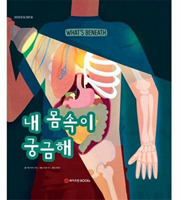 내 몸속이 궁금해, 와이즈만북스(와이즈만 BOOKs), 와이즈만 호기심 그림책, 상세내용 참조