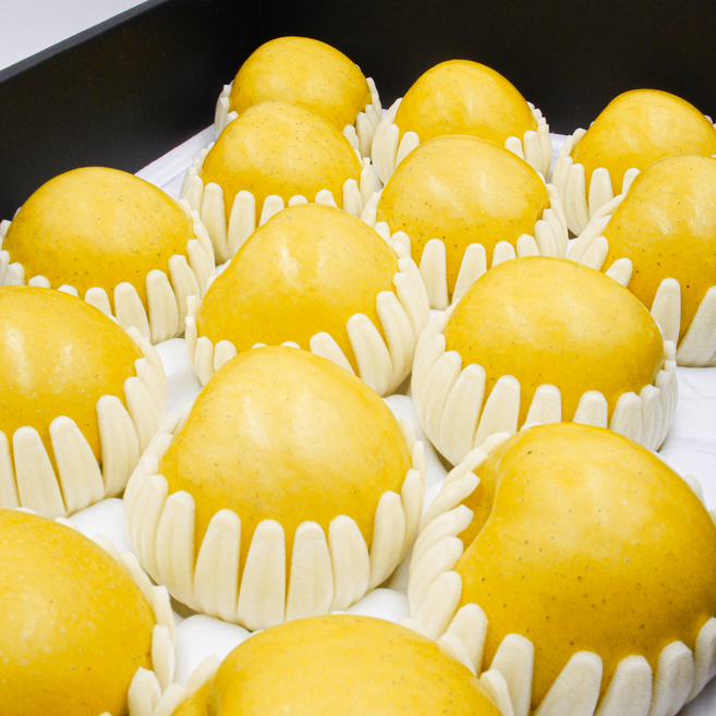 [최상급 선물세트] 만족도1위 경북 시나노골드 사과 16브릭스 초고당도 황금사과 2kg 4kg 5kg, 1박스, [특품선물세트] 시나노골드 2kg (4-6과)