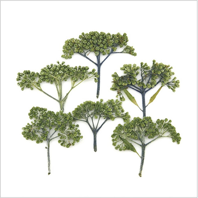 프레스코21 압화 줄기 애기수국