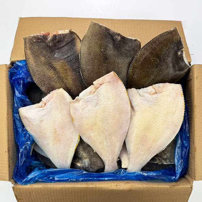 해물총각 두뚬하고 깔끔하게 손질된 가자미(150-200), 1개, 4.5kg