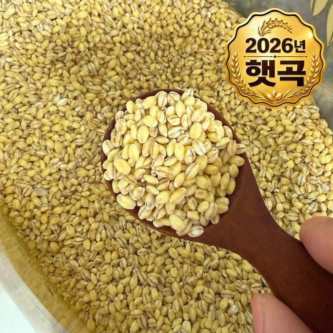 영원농산 26년산 국산 찰보리쌀 김제보리 햇보리, 5kg, 1개