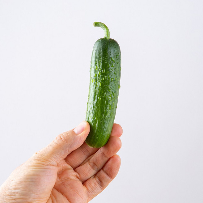 아삭한 국내산 미니오이 4kg, 1개