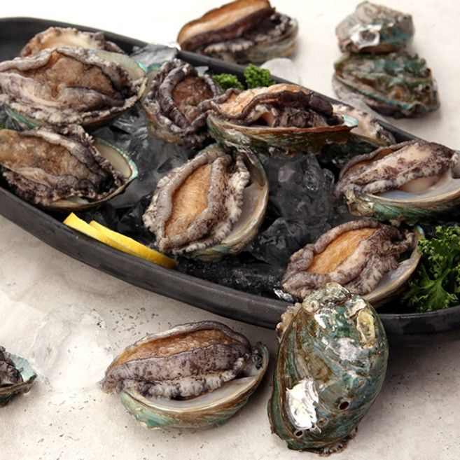 [오초록] 완도직송 완도 활 전복 1kg(22~25미) / 해수 산소포장, 1개
